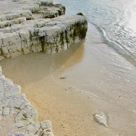 Olive Tree Oasis With Heated Pool 펜션