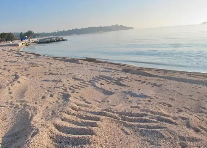 Olive Tree Oasis With Heated Pool 펜션