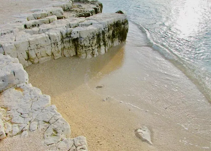 Olive Tree Oasis With Heated Pool 펜션