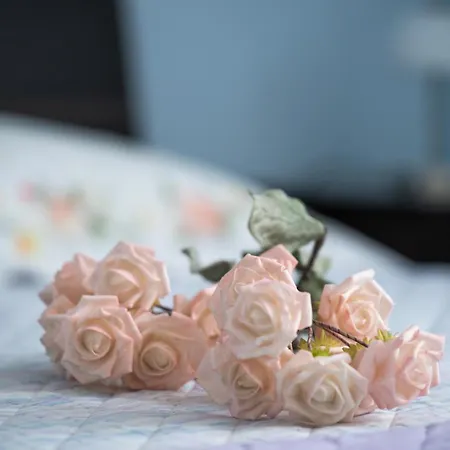 Olive Tree Oasis With Heated Pool Stinjan