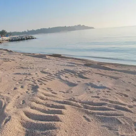 Olive Tree Oasis With Heated Pool Vakantiehuis